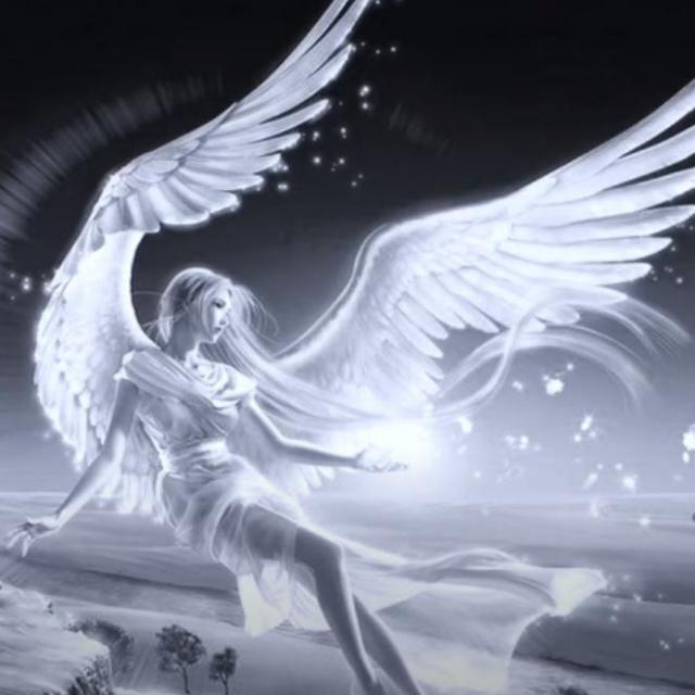 La Souffrance, le Moteur de la Lumière  jerome.selz.com