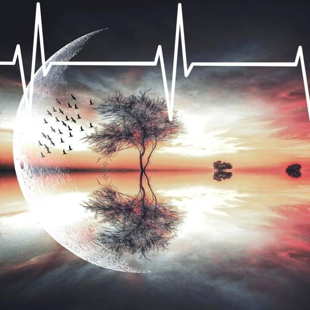 Michel Ribes Ce soir Briser sa coquille et se dépasser.