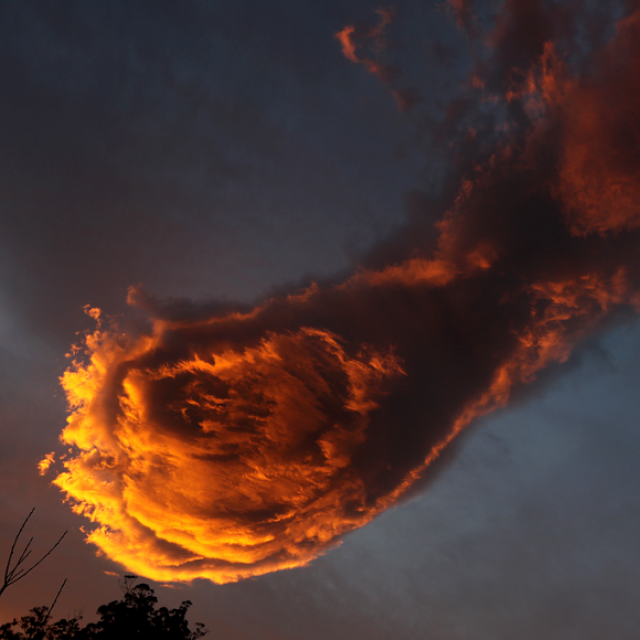 Michel Ribes Il est temps d'établir la connection entre réalité et conscience.