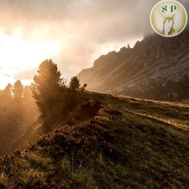 Podcast de Sophie RIEHL Méditation sur l'accueil de Soi Rencontre au quotidien avec Soi même