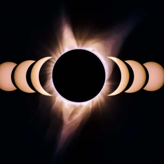 Michel Ribes Briser le cycle, ne plus suivre le troupeau...Pour enfin être aux commandes de vos vies.