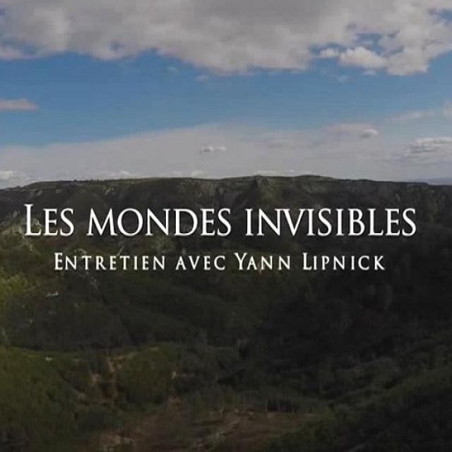 le 18 sept.2015 Yann Lipnick, Les Mondes invisibles.