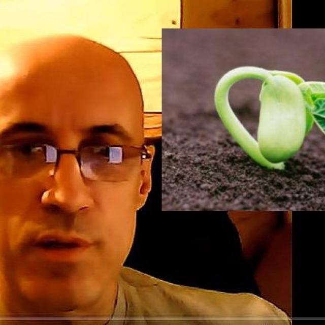 Podcast de Michel Ribes La graine du changement est en nous.