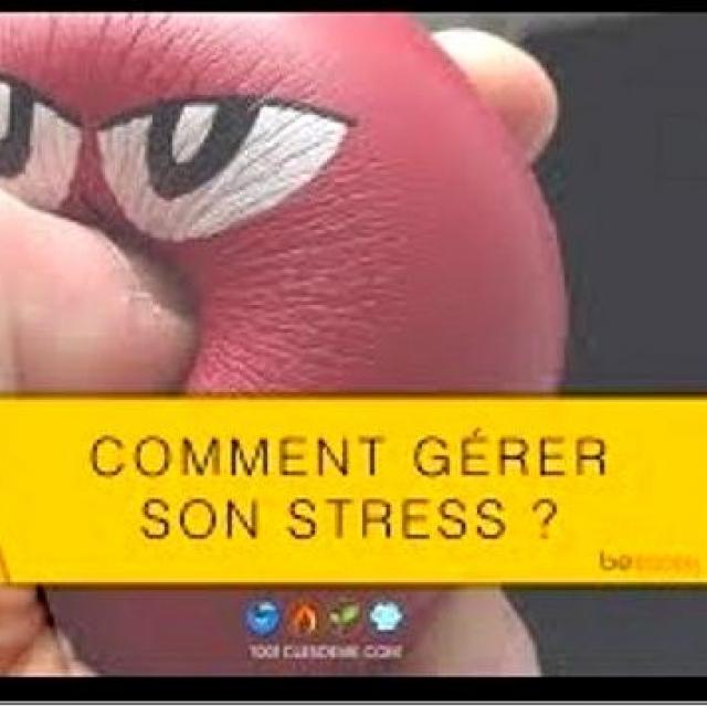 Stress - Comment gérer son stress - Quels sont les signes du stress - Luc Bodin