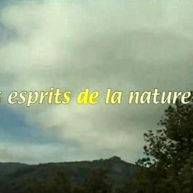 Le 06 2006 Les Messages des Esprits de la nature Yann Lipnick.