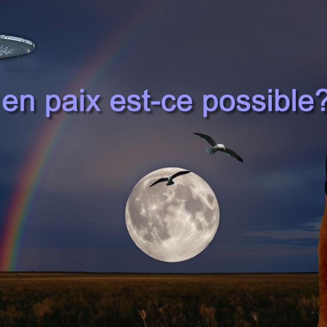Michel Ribes Ce soir Vivre en paix est-ce possible