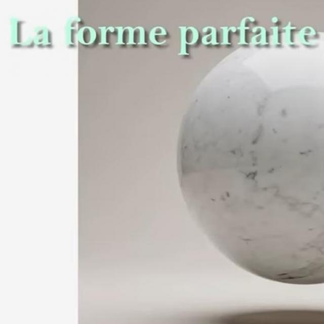 MICHEL RIBES Ce soir La forme parfaite.