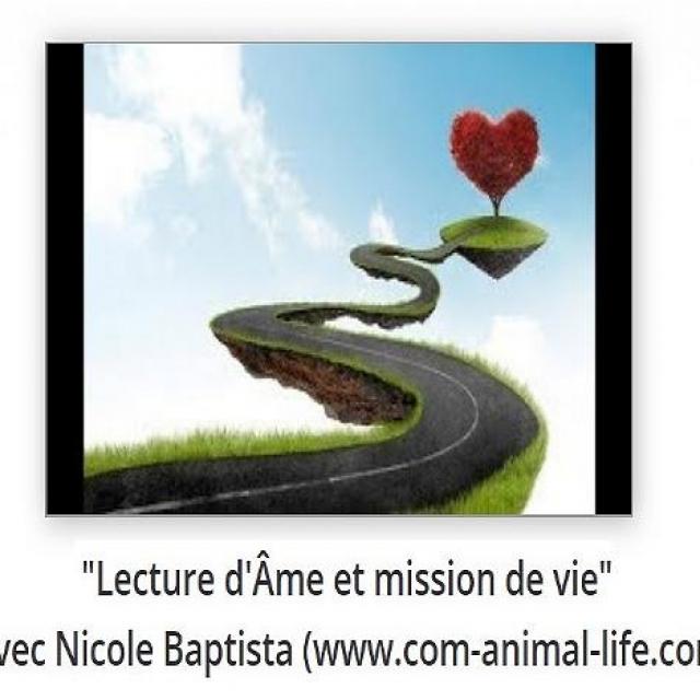 Sylvie Ptitsa Lecture d'Âme et mission de vie avec Nicole Baptista (www.com-animal-life.com)