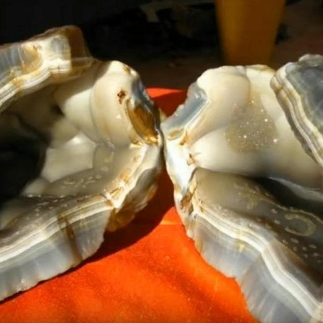 Podcast Michel Almeras Le Chauffeur Du Coeur Lundi 28 Mars 2016 de Julien Vanhoucke