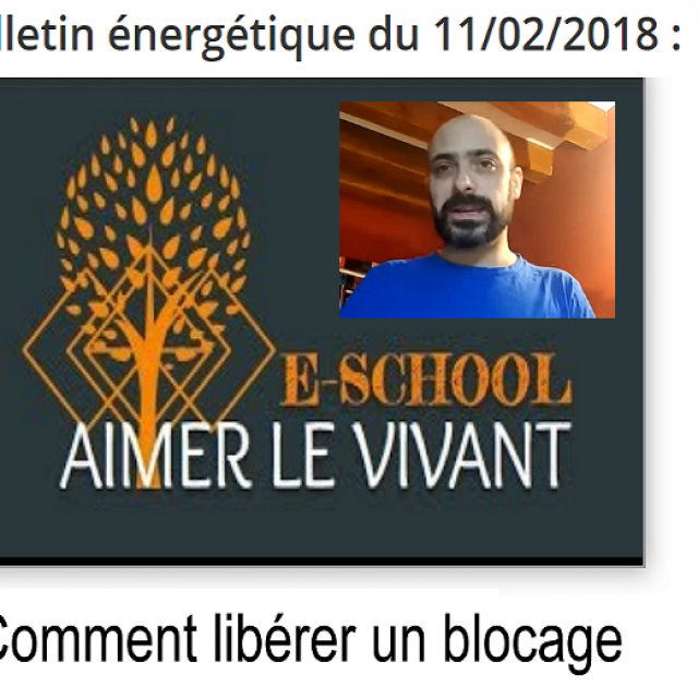 Eric Banard Bulletin énergétique du 11022018  Comment libérer un blocage.