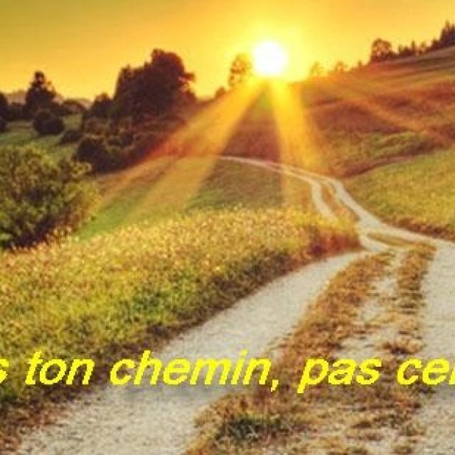 Michel Ribes, Est il possible de sortir du piège de la programmation.