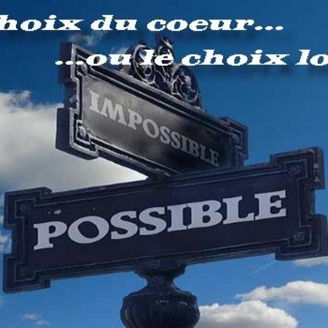 Michel Ribes Faire un choix logique ou un choix du cœur.