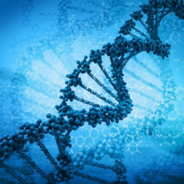 La symphonie de l'Univers et la solitude par Michel Ribes.