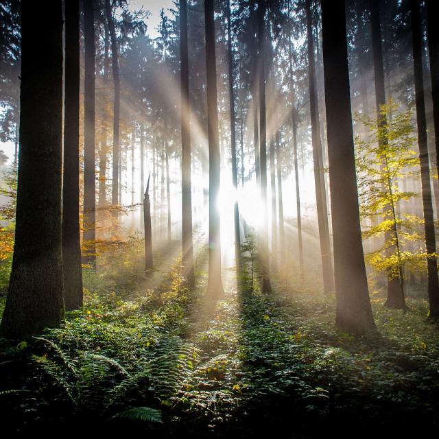 Michel Ribes Le moment de vérité, le véritable choix en conscience.