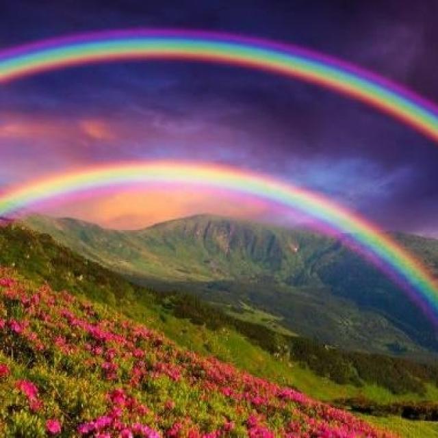 Michel Ribes Ce 090621 La conscience de soi en ligne droite.