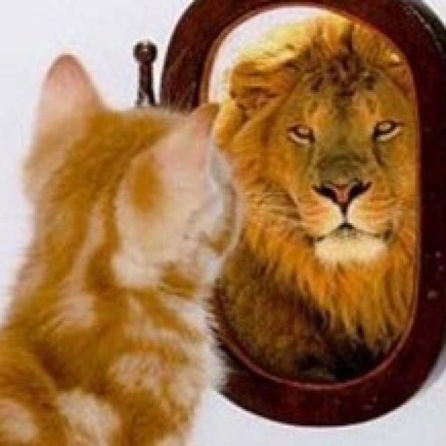 Michel Ribes Juste un moment en Direct et quoi Ego Vs Le soi...et pourquoi donc