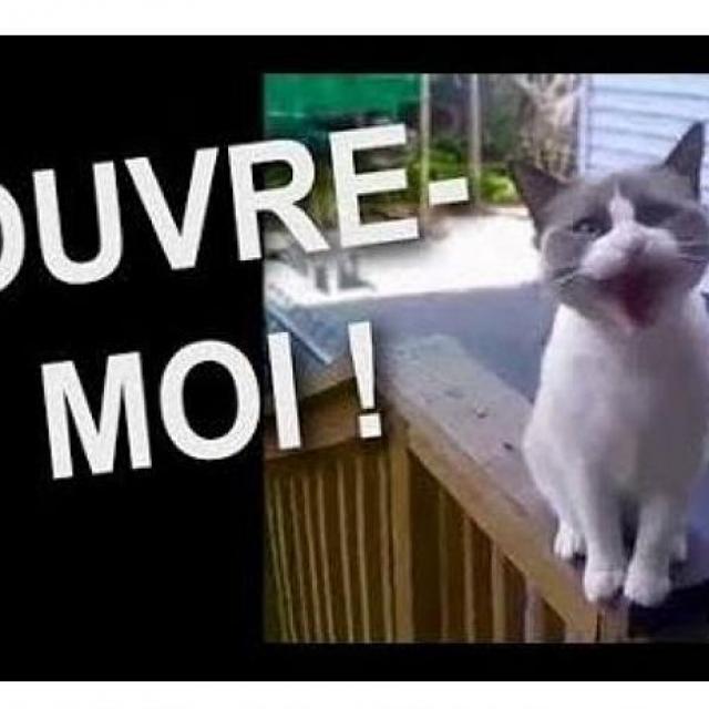 24.10.19 Soin de l'Etoile EXPRESSION avec Nicole Baptista & Sylvie Ptitsa.