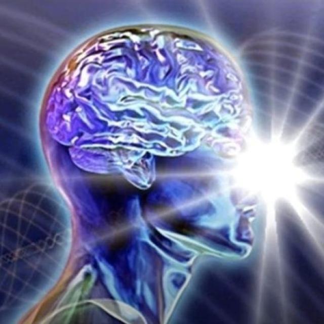 Yvan Poirier CAPSULE TRANSITIONNELLE 28 QUELLES SONT LES ÉTAPES D’INTÉGRATION DU CORPS D’ÊTRETÉ NOUS