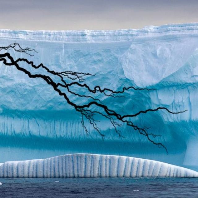 Michel Ribes Le jeu de pouvoir s'intensifie, nous devons lâcher la peur.