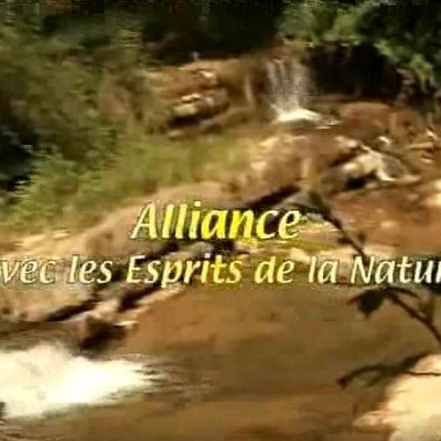 le 12 déc. 2014 Alliance avec les Esprits de la nature Yann Lipnick.
