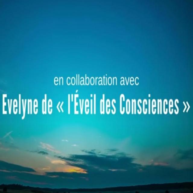 Soigner nos problèmes de santé avec les soins énergétiques - Luc Bodin et l'Éveil des Consciences