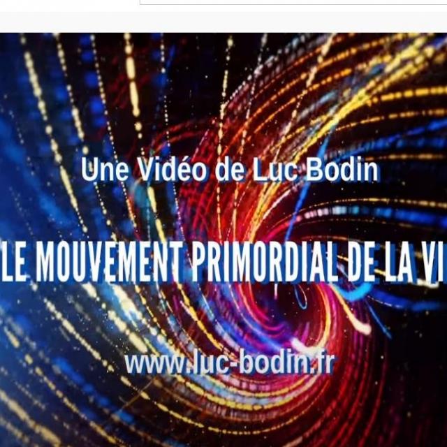 Soin énergétique collectif - Le mouvement primordial de la vie Luc Bodin